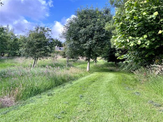 The Night Garden path with Cowden Farmhouse in the distance